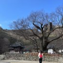 [뚜벅이 부안 여행] Day1-2.내소사-생태탐방원-격포 해넘이 채화대 일몰-소노벨변산 사우나
