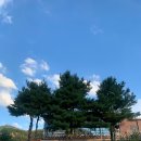 브리끄