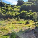 온평리-2 이미지