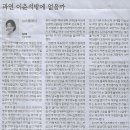 대신무역 Daum카페