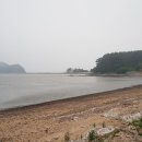 곰섬야영장 이미지