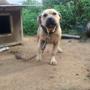 최대식농장 이미지