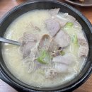 졸또 이미지
