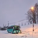하모하모여행사 | 삿포로 후라노 비에이 소규모 버스투어 내돈내산 후기 | 준페이 점심 | 흰수염폭포, 크리스마스트리...