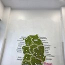 에스디인터내셔날롯데아울렛 - 부여군 백제문로 387 | 부산신세계아울렛 가는 방법, 버스 이동 후기