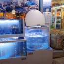 홍대횟집 이미지