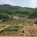 해충박사