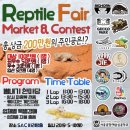 퀸즈렙타일 - 남동구 문화서로4번길 61-22 | D-5 렙타일페어3 부산!! 5월21일!! 스포일링시작합니다!(5/16Ver.)