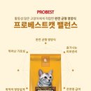 캣프로 이미지