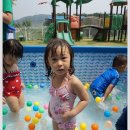 향남민들레어린이집 이미지