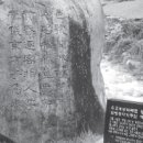 다림코리아 이미지