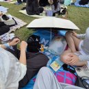 천사나라유치원 | 직장인이라 여름방학은 없어도 놀지 못하는건 아니야₍𝄐 ̫͡ 𝄐₎