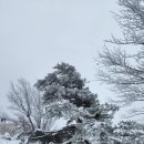 올해 설악산 첫눈 ~~감기 조심하세요.. 이미지