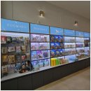 하남강아지 이미지