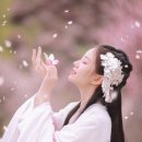 달구지사랑 이미지