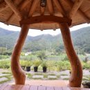 장성편백숲황토펜션 이미지