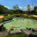 곤양시장1 이미지