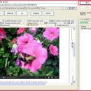 다음의 tv팟, 엠엔 케스트 등의 ucc 동영상을 다운 받을 수 있는 유용한 프로그램임돠. 이미지