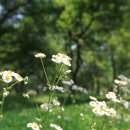 밍크목장 이미지