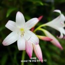 헨리의 밝은 미소 이미지