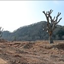 향기숲공원 이미지