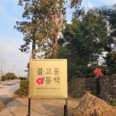 삼달교차로 3 이미지