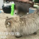 대동화원 이미지