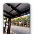 달리아에스테틱(부산서면점)
