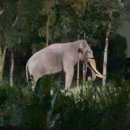 부엉이공원(CCTV폴) | 5박 7일 간의 🇸🇬싱가포르 여행 3탄 (feat. 센토사섬, 나이트 사파리, 식당 &amp; 기념품, 공항 무료 짐보관 등)