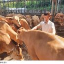 만금농장 이미지