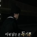 석곡(화산) | 사라진 11월..