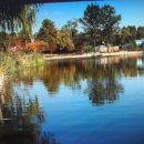 용산-이촌-336 이미지