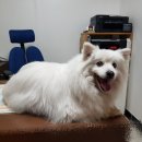 북비산로 이미지