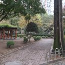 압구정-113 이미지