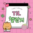 BS소프트 | [TIL 챌린지] 3. 데이터 핸들링 (4주차)