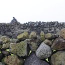 바람의 집 이미지