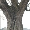 생장경로당 이미지