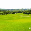(주)캐슬렉스제주 이미지