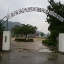 남교 이미지