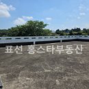 성읍리-4 이미지