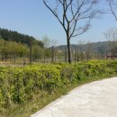 용산-이촌-1960 이미지