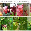 수정-27 이미지