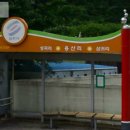 지매약국 네이버블로그