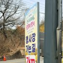 늦게 피는 꽃 | 의성 산수유꽃피는마을 축제 후기, 실시간 개화