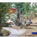 옥정농장 | 나주세지면 옥정농장 모임후기