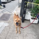 홈런닭집 이미지