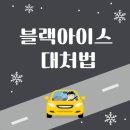 아이스533 이미지