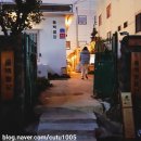 정희네횟집 | 기억나는먹부림 제주편 (현지인맛집과 솔직후기)