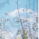 노블구제 이미지