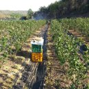 엔도르핀농장 이미지